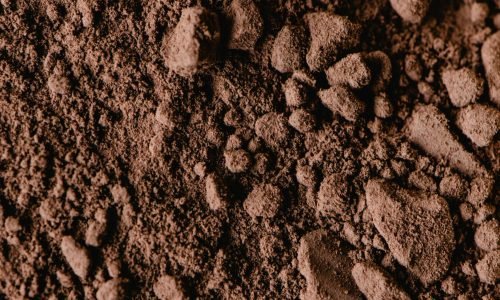 pexels-photo-6087685-6087685 Close-up of a textured earthy soil surface showing a natural mix of stones and roughness.